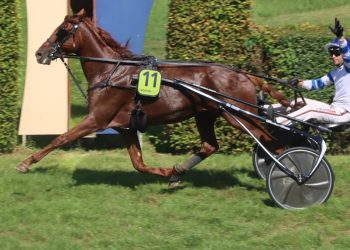 Ginko du Roussoir wins Trophee Vert Leg 13