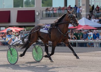 Redwood Hanover heads $300,000 Carl Milstein Memorial