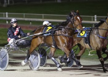 First win gives Harrison a “huge thrill”