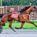 $467,400 bounty at Batavia Downs