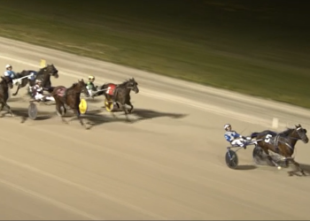 Dontpokethedragon flies high at Georgian Downs