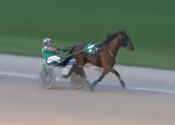 Oh Gouda gets it done in Prospect Series