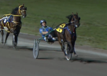 Chip Of Evil flies to maintain perfection