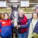 Grey mare blitzes rivals in 1200m debut