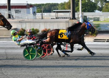 Stag Party strings three together