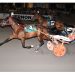 Sweet Sofie T wins Vernon feature with grand slam driver MacDonald