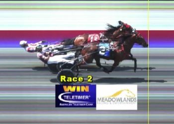 Unbeaten Sylvia Hanover takes $100,000 Shady Daisy