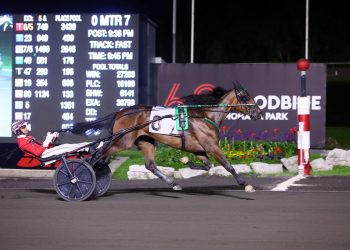 Tandem Hanover one to watch in Peaceful Way