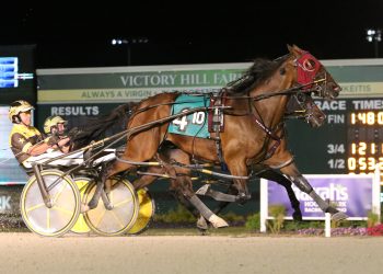 Tellmeaboutit the one to watch in $300,000 Dan Patch Stakes