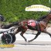 Thunder Hunter Joe, Huntinthelastdolar capture NYSS at Tioga