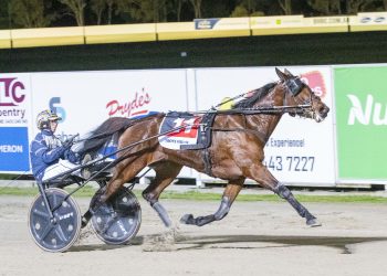 Classic double for Stallions Australasia