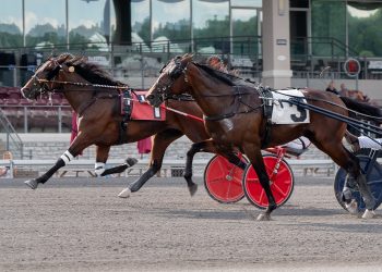 Two-year-old trotting colts battle in $157,760 PASS