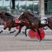 Two-year-old trotting colts battle in $157,760 PASS 1 Two-year-old trotting colts battle in $157,760 PASS