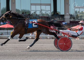 Palone, Campbell, and Runthetable Stables sweep $155,160 PASS