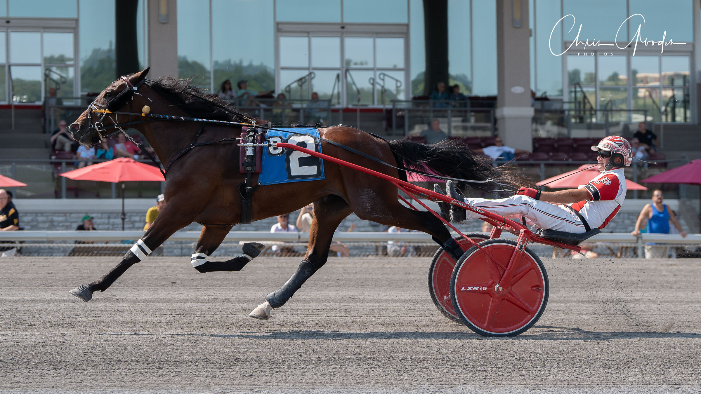 Palone, Campbell, and Runthetable Stables sweep $155,160 PASS 1