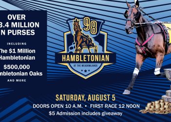 All you need to know for Hambo day