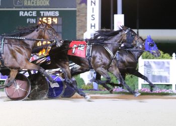 Helpisontheway fillies give sire ISS sweep