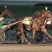 Team Svanstedt sweeps NYSS at Yonkers