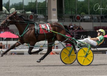 Lyons Legend looks to complete sweep of PASS