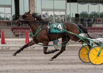 Unbeaten Lyons Legend scores track record