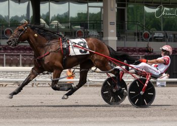 $540,000 up for grabs in upcoming PASS action