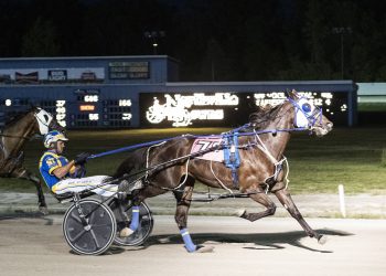 Last Bet captures Northville Downs feature