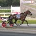 Chapheart takes $22,500 feature at Plainridge Park 1 Chapheart takes $22,500 feature at Plainridge Park