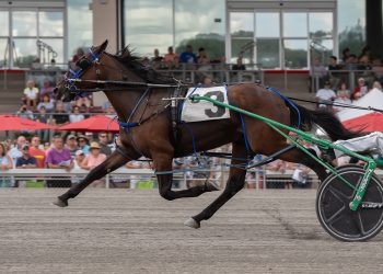 Unbeaten Rose Run Zeke heads $170,320 PASS