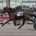 Unbeaten Rose Run Zeke heads $170,320 PASS