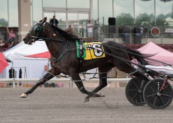 Stakes record set in PASS at The Meadows