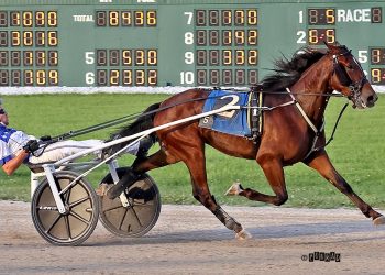 Huge Ohio Sire Stakes night at Scioto Downs