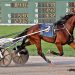 Huge Ohio Sire Stakes night at Scioto Downs