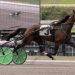 Think Of Galaxies scores career best in $21,200 Meadows pace