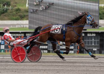 Trashytonguetalker walks the walks