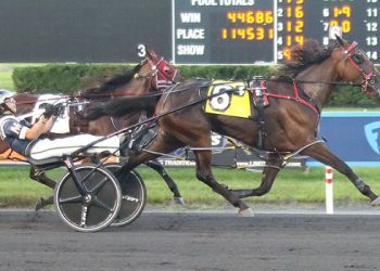 Hambletonian Day undercard: Sylvia Hanover and more
