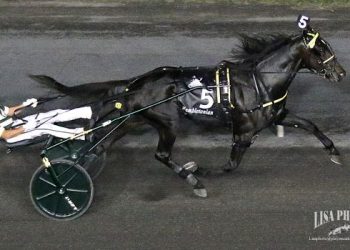 Burke, Gingras, and Celebrity Bambino favored in Hambletonian