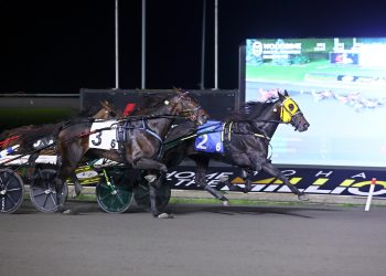 Celebrity Bambino in time in Canadian Trotting Classic elim