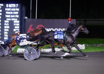 Freshman filly stays perfect in $180,800 Champlain