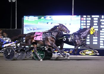 Celebrity Bambino rallies in $660,000 Canadian Trotting Classic