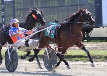 Unbeaten fillies continue streaks in Maine Sire Stakes