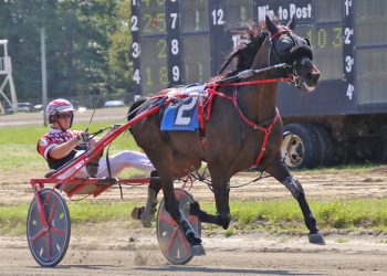 Maine Sire Stakes action at Windsor Fair