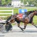 Facemaskrequired, So Rock N’ Roll capture Maine Sire Stakes at Bangor