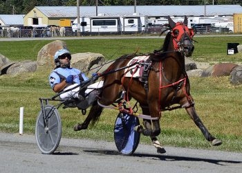 Two Fold Cold, Oakleypopsthedeuce capture Farmington paces