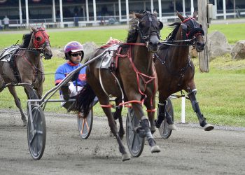 South St Dottie, Pickmepickme shine at Farmington