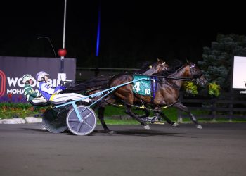 Favourite slain in $615,000 Canadian Pacing Derby