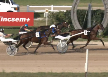 Kincsem Park solid mid-week program