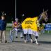 Never Ending makes his return this week 2 Sweet Lou gelding could rejuvenate harness racing