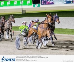 Stunning night for Stewart stable