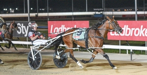 Rose looks to blossom in Hobart