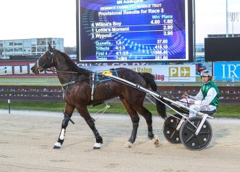 Tactical Landing sires first NZ winner in incredible fashion